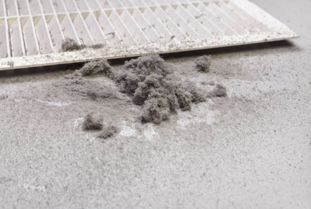 Best Affordable HVAC Duct Cleaning  in Grand Mound, WA
